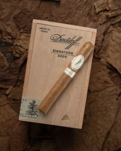 Davidoff Signature 2000 Puro - 25'li